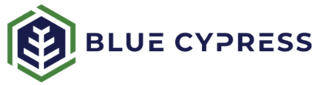 Blue Cypress-1