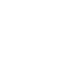 WordPress-logo white
