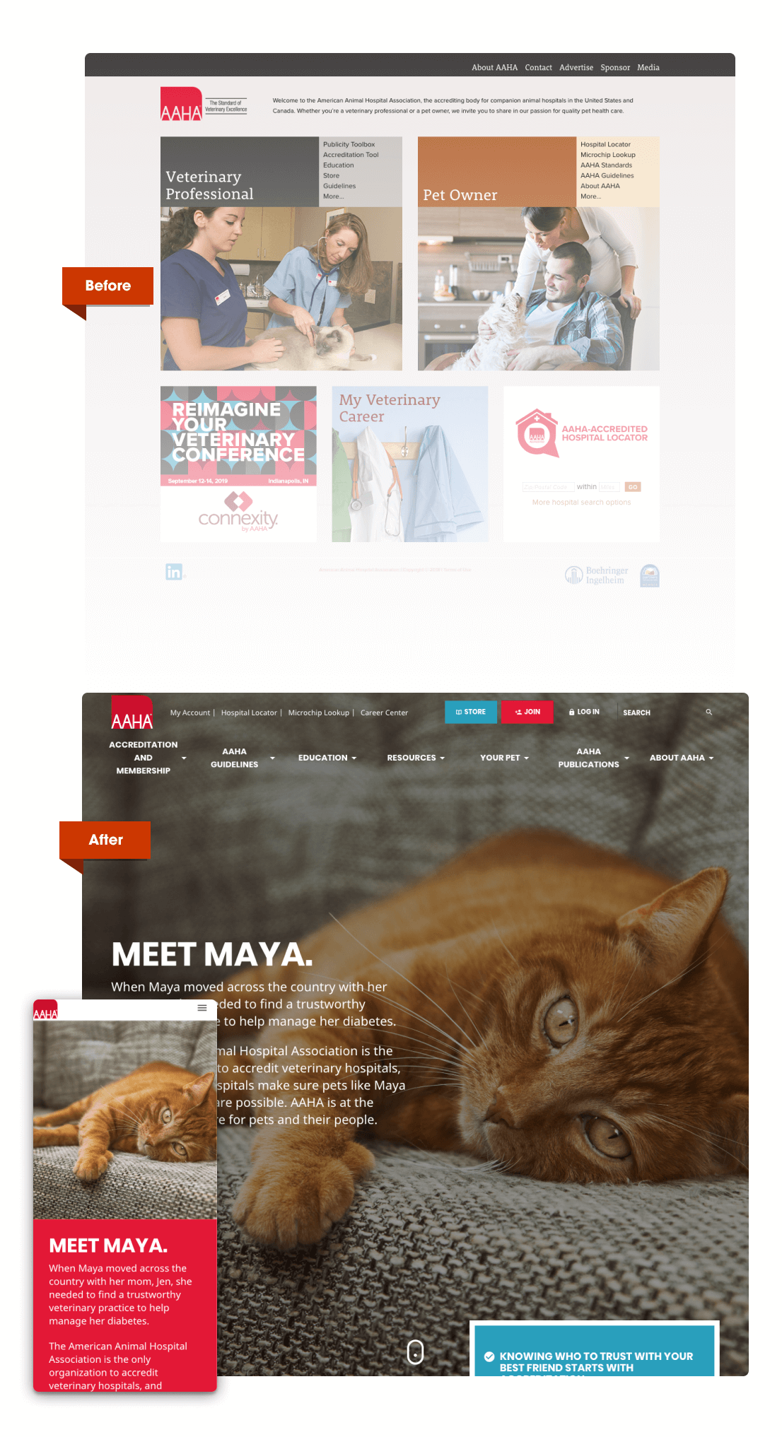 aaha-before-after_mobile